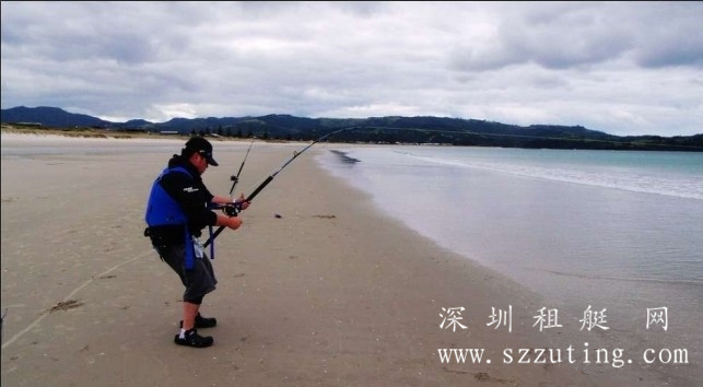 鲨鱼上钩