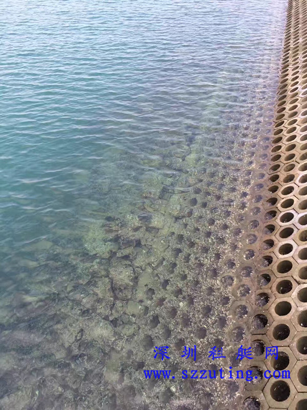 浪骑游艇会