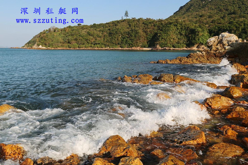杨梅坑